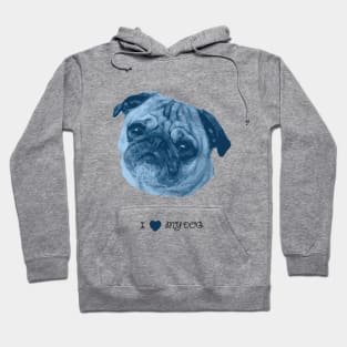 Dogs - Pug blue Hoodie